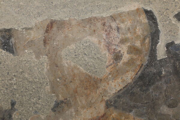 Fresco fragments